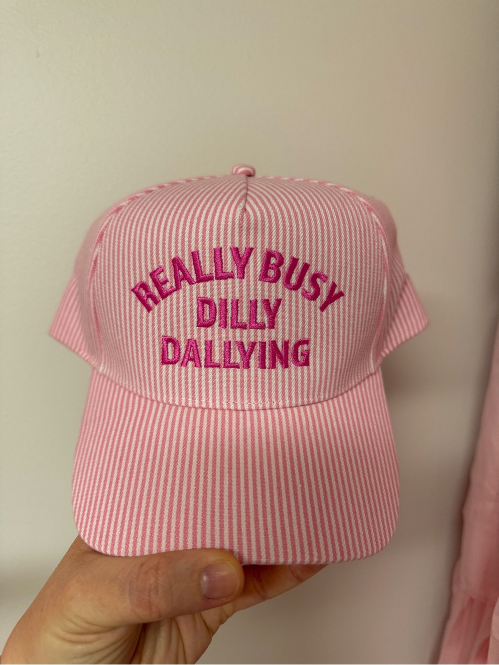 Pink Striped Embroidered Baseball Cap - Really Busy Dilly Dallying
